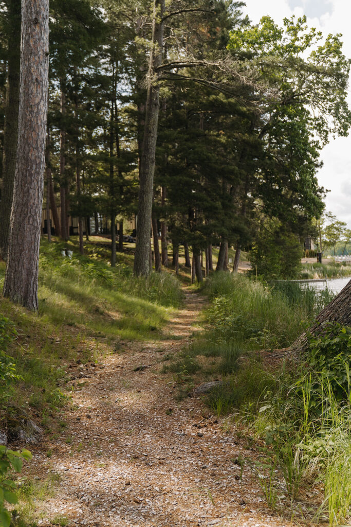 Nature trail leads through Minnesota pine trees at Catalyst by Nature Link wedding venue