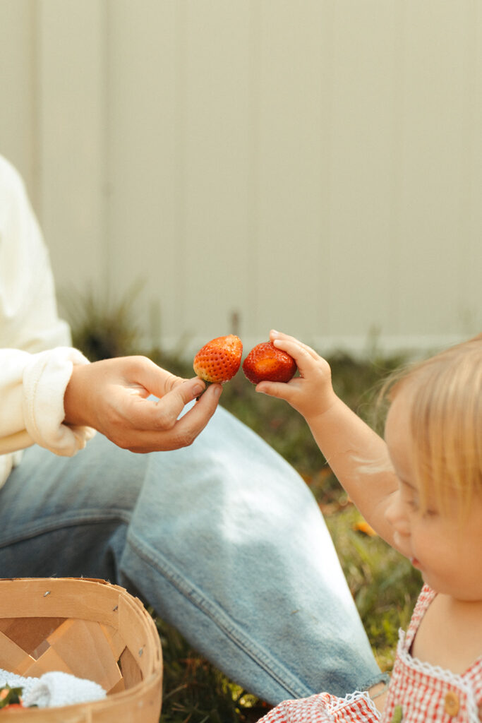 Child handing strawberry to seated adult beside basket, candid branding photos with family warmth.